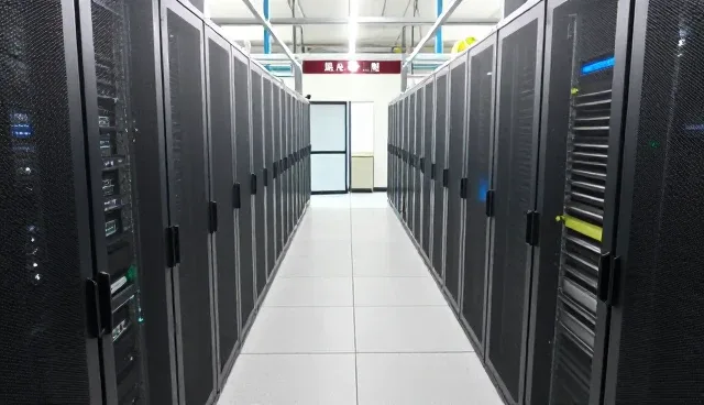种苗供应性能与适用条件的全面解析